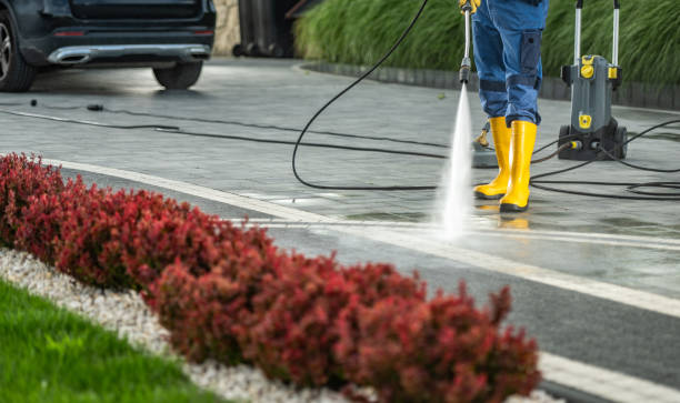 Best Pool Deck Cleaning  in Los Alamos, NM